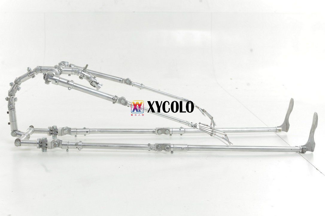 Squelette Xycolo 1